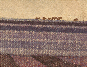 Plowed Field With Cows
