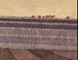 Plowed Field With Cows